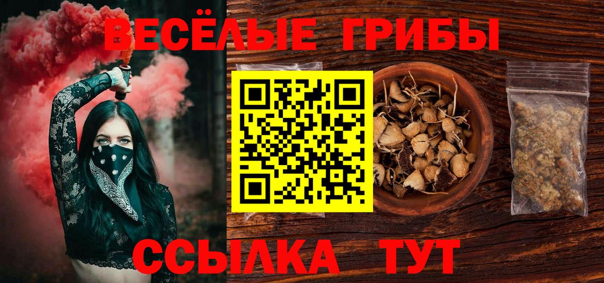 Саки  Галлюциногенные грибы Magic Shrooms  Галлюциногенные грибы Psilocybe  магазин    Вход с VPN 